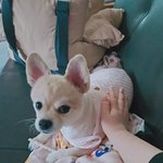 남자들 마른것보다 <b>살집</b> 있는거 좋아하는거 맞는듯