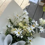 지디 팬들한테 돌린 <b>꽃말</b> 미쳤나봐ㅠㅠ