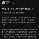 민노총이 식물인간 <b>만듬</b>!