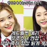 [드루와] 우주소녀 레드벨벳 해체