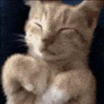 뭐 눈가리고 <b>아웅</b>?