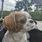 [군대] 호비 인스타 사진 내 취향 몇개