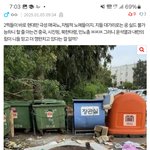 <b>좌파</b>들 특징.