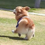 옹동이가 작고 이쁜 나같은 <b>요자</b>