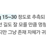 너네 <b>졸업</b>할때 안슬펗냐 난미칠거같다