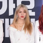 ‘<b>AOA</b> 출신’ 신지민, 활동 재개하나…생일카페→유튜브 개설 예고