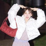 강아지를 춤추게 한다’ (웬디의 영스트리트 출근길) [<b>HD</b>포토]