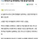 이게 어그로가 아니라니