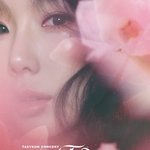 태연 콘서트 뜸