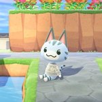 <b>동숲</b> 아미보 사버림