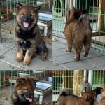 [나는여성시] 나는 2030 <b>탄핵찬성</b> 시위 너무웃김