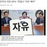 민주당은 헌법에서 '자유'를 빼자고