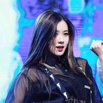 8년째 <b>탈색모</b> 유지 중인 블랙핑크 로제