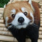 [정말] 째롱아 <b>니</b> <b>자식</b>이 성공하길 원하니?