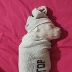 [19] <b>스물</b> 한 살이면