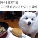 강아지의 물물교환 <b>신청</b>.jpg