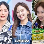 공식…안혜경·배혜지·박가령 '웨딩 해트<b>트릭</b>' (종합)[Oh!쎈 이슈]