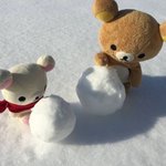 [드루와] 합격한 대학 동아리 ㅈㄴ<b>재밋</b>뎃다;;