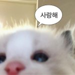 [하고싶은말] 내가 좋아하는 분은 <b>연상</b>