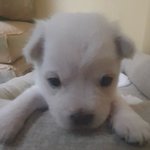 [댓글부탁해] 나 수1수2 <b>밸붕</b> ㅈㄴ심함