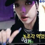 카리나도 <b>화교</b>야?