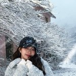 <b>시바</b>(견)장원영 요즘 인스타 사진 ㅈㄴ예쁘네