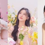 최진실 딸·장원영 언니·엄태웅 아내…연예인 가족, 빛과 그림자