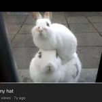 [드루와] 대학생 애플<b>워치</b> 유용햐??