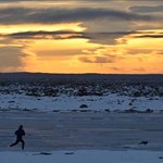 For <b>all</b> the lone wolves