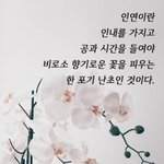 [하고싶은말] 포기하지마 무조건 놓지도말고, 해보는데까지