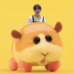 [댓글부탁해] 아니 <b>에이</b>블리에서 옷 시켜본사람 다 드러와바