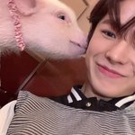 나 <b>턱</b><b>필러</b> 맞고나서 수염 남 ㅋㅋ;;