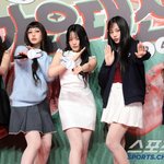 "멈춰"…뉴진스, 하니 불법체류 신고→민희진 의혹에 의미심장...