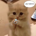 [하고싶은말] <b>Miss</b> u