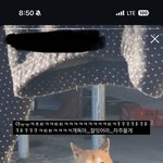 [댓글부탁해] +++추가글 시바견 파양 <b>sns</b> 전시한 인플루언서