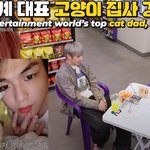 무지개다리 건넜다는 강다니엘 반려묘 '피터'