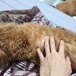 백수니까 좋네 애기들과 뒹굴고.. <b>우측</b>하단 시간