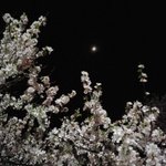 [하고싶은말] .