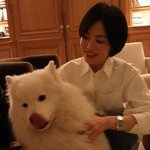 '숏컷 변신' 송혜교, 미모 업그레이드에 찬사 계속…"어떻게 사람이...