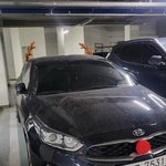 [방탈죄송] 차에다가 <b>조잡</b>스럽네 진짜