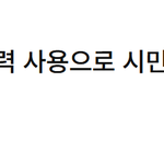 이수정,"공수처와 경찰 무력 사용으로 <b>시민</b>다쳐