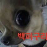 수학 준<b>킬러</b>문제집머잇음