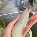 이거 무슨 <b>새우</b>인가요 ?  어디 산인지 ?