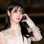 "아이유 이제 속이 좀 <b>시원</b>하냐"…尹 지지자들 '악플 테