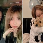 故이희철 친구들 뭉쳤다...입양 나선 풍자·추모한 <b>제아</b>