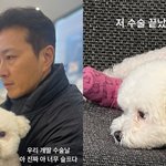 ‘양딸 입양’ 진태현박시은 딸, 수술 마쳤다‥십자인대 회복중