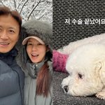 "너무 슬프다"던 진태현박시은, 반려견 수술 <b>완료</b> 인증샷