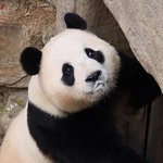 [19] 요즘 한녀들 유행어 이해안가는거...