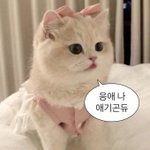 [하고싶은말] 아니 뭐 진심 몇페이지에 정상적인 글이 없네