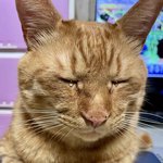 <b>찬물</b>샤워하고 감기걸림